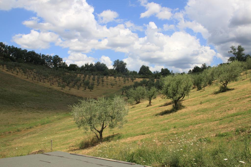 Agriturismo Le Buche Di Viesca เรกเจลโล ภายนอก รูปภาพ